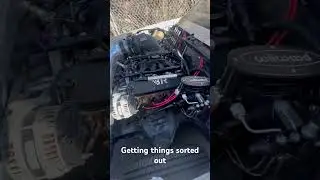 383 with btr stage 3 turbo cam. sound clip #btr #holleyefi #vsracing