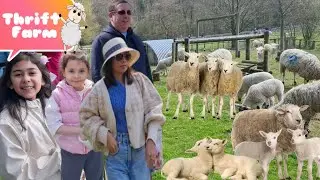 Thrift Farm MK | Easter Holiday #eastersunday #easterfun #thrift #mkfarms