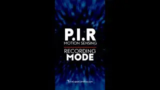 Motion Sensing Creative Recording Mode, PIR, Afidus