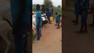 Hetto paama