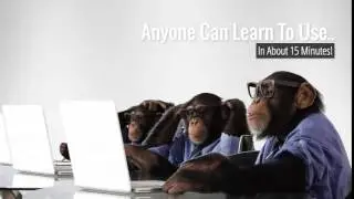 Marketing Monkeys