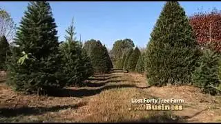 Lost Forty Tree Farm