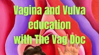 Vagina and vulva education with The Vag Doc