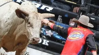 BullFighter Shorty Gorham