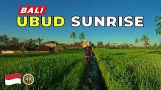 Bali 🇮🇩 Calm & Beautiful Sunrise Over Ubud&rsquo;s Rice Fields