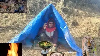 Overnight survival challenge with Amazige in forest#, A1 adventure#camping #camp 