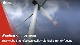 Windpark in Ipsheim: Bayerische Staatsforsten stellt Waldfl&auml;che zur Verf&uuml;gung