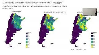 TALLER: METODOLOG&Iacute;AS EN CLIMA Y SALUD (vs)