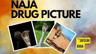 Naja homeopathic medicine by safeeah khan