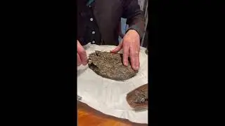 How to use and store compressed Chinese tea cake?
