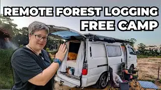 Remote Forest Logging Free Camp
