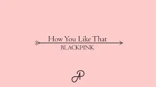 How You Like That - BLACKPINK (AP Cover)