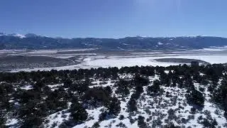 LAND FOR SALE COLORADO 1.47 ACRES