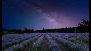 Sailetracks - Lavender Meadow (Chill Emotional Relaxing Music)