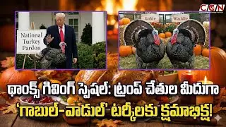 Thanksgiving 2025 in USA: 99th Macy's Parade & Trump's Funny White House Speech | CCN News