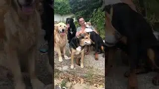 how well behaved dogs can make someone feel