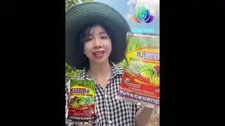 THUỐC EIFELGOLD 215WP &ndash; CHẾT NHANH,CHẾT CHẬM, KH&Ocirc; C&Agrave;NH, KH&Ocirc; QUẢ   TƯỚI GỐC HIỆU QUẢ Lh 0345378839