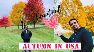 autumn in small town america vlog 2021 | Fall in america | small town in USA | Indian in America