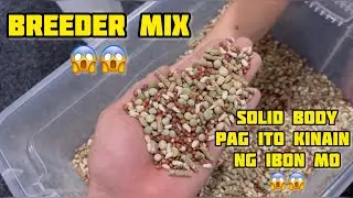 BREEDER MIX💪💪 MEKUS MEKUS MGA INSAN😱😱😱