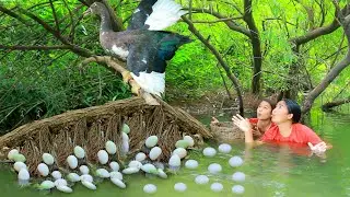 Women Found Duck egg at river - Fried Duck for dog  Eating delicious HD