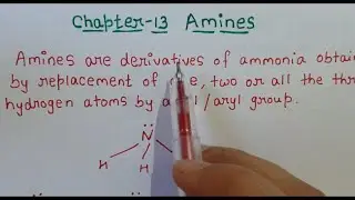 Class 12 Chemistry Chapter 13 Amines Part 1 | Types, Classification, Identification & Nomenclature