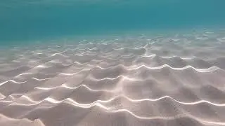 mi2020 northern beach 2