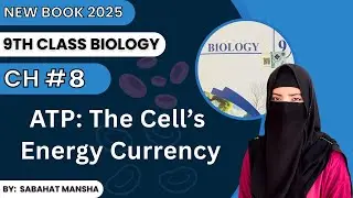 ATP - The Cell's Energy Currency | Class 9 Biology | Chapter 8 | Lecture 2 | PTB New Book 2025