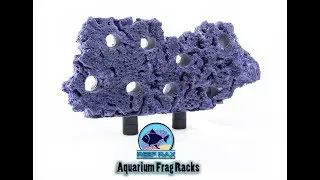 ReefRax Reef Aquarium Frag Rack Review
