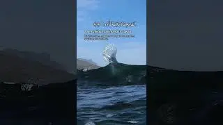 Surah Ad-Duha | Allah Never Leaves You #IslamicShorts #QuranShorts #IslamicReminder #Allah #Hope