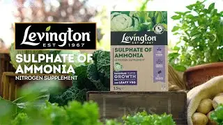 How to Use Levington&reg; Sulphate of Ammonia | Nitrogen Supplement for Fast Green Growth