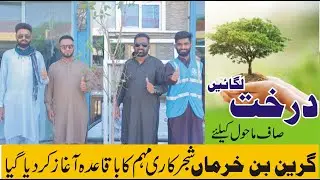 Green Bun Khurman [Shajar Kari]