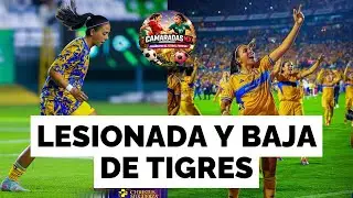 🚨MAR&Iacute;A S&Aacute;NCHEZ sufre LESI&Oacute;N y ser&aacute; BAJA de TIGRES FEMENIL