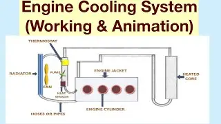 Engine Cooling System(Working & Animation)