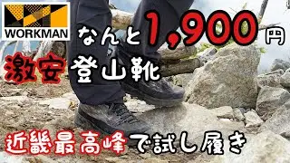 【ワークマン】1,900円の登山靴で近畿最高峰に登ってみた