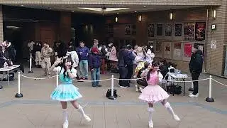Starlight Parade(スタパレ) 2026/1/17 KAGAYAKI FES ＃65
