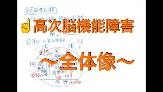 高次脳機能障害〜全体像〜
