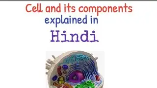 The Cell and its components in details explained part 1