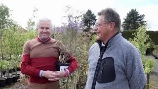 Get Gardening: Up The Creake