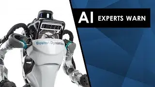 AI Experts Warning | 