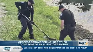 Sunset Beach police help alligator that had lure stuck in its mouth