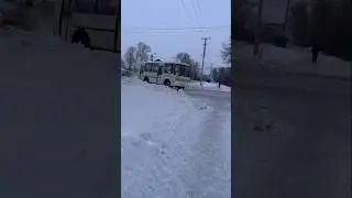 ПАЗ-32054 по маршруту №111 Барабинск-Пензино #bus
