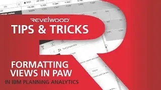 Formatting Views in PAW | IBM Planning Analytics Tips & Tricks from Revelwood