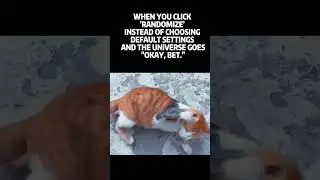 Unique Cat Pattern #cat #shorts