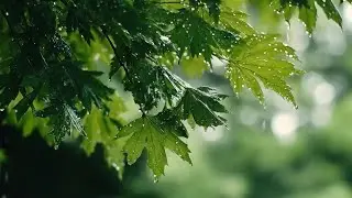 Sounds Like Sweet Milk | Soft Music Heals Health And Soothes The Nervous System, Deep Relaxation