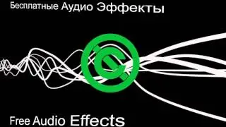 Звук.  Жужание насекомых. Cicadas Buzzing.
