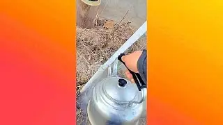 Best Oddly Satisfying Video that Relaxes You Before Sleep | 2020 satisfy Video #1