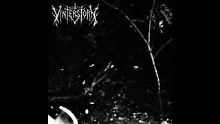 Vinterstorn - Vinterstorn  (Cascadian Black Metal | Full Album 2025)