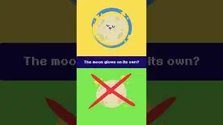 What's the answer??? part.80 #shorts #funny #ox #quiz #friends #game #kids