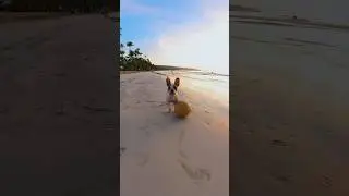 Meet the Cutest Soccer Star at Playa Coson