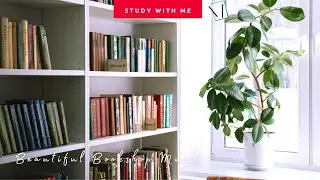 [無廣告版] 窩在書店角落讀書~ 舒服旋律~ Beautiful and Relax Music / Study Music